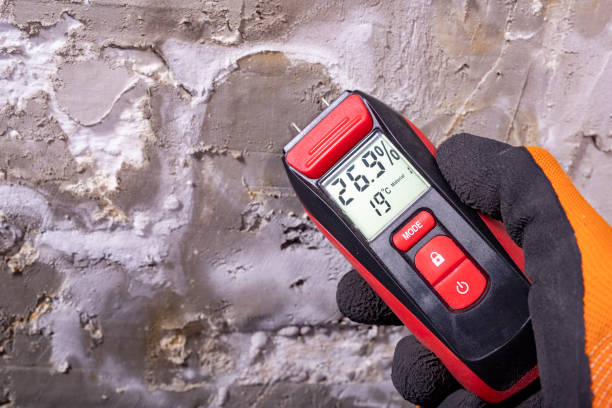 Best Residential Mold Remediation in Seabrook Farms, NJ