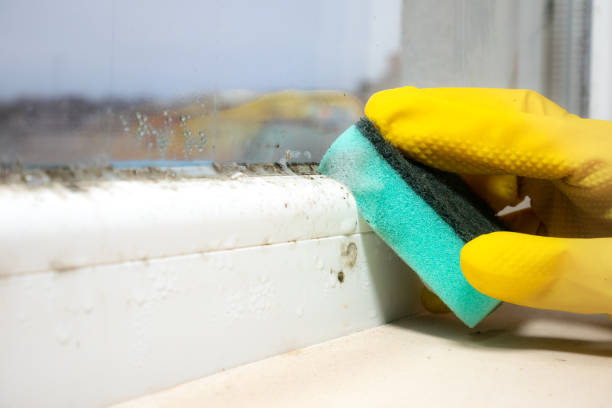 Best Health and Safety Mold Remediation in Seabrook Farms, NJ