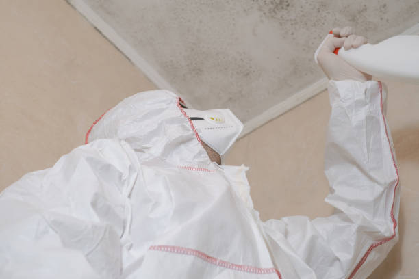 Best Crawl Space Mold Remediation in Seabrook Farms, NJ
