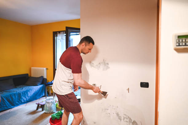 Best Kitchen Mold Remediation in Seabrook Farms, NJ